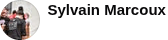 sylvain profile